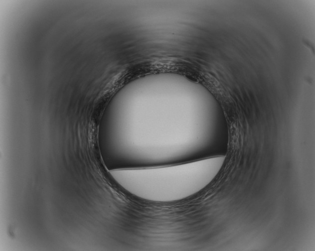 X0000098120712200804040824