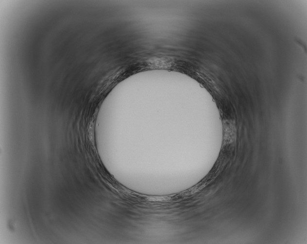 X0000098120713200804040824