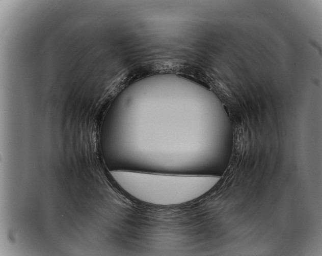 X0000098120716200804040824