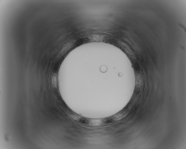 X0000098120717200804040824