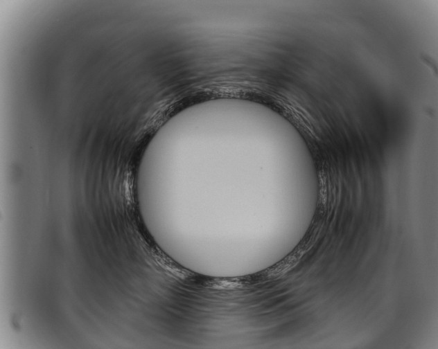 X0000098120718200804040824