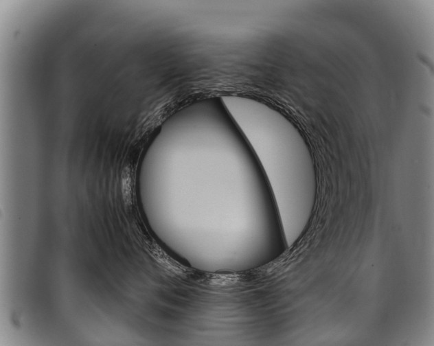 X0000098120720200804040824