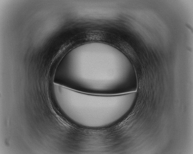 X0000098120722200804040823