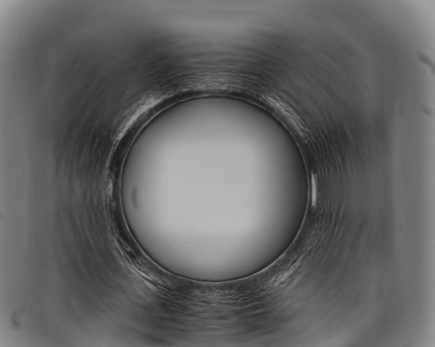 X0000098120723200804040823