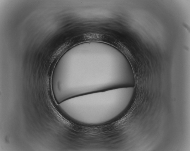 X0000098120725200804040823