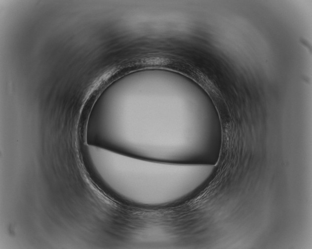 X0000098120726200804040823