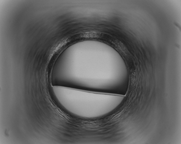 X0000098120727200804040823