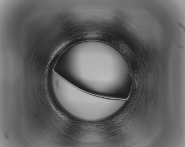X0000098120728200804040823