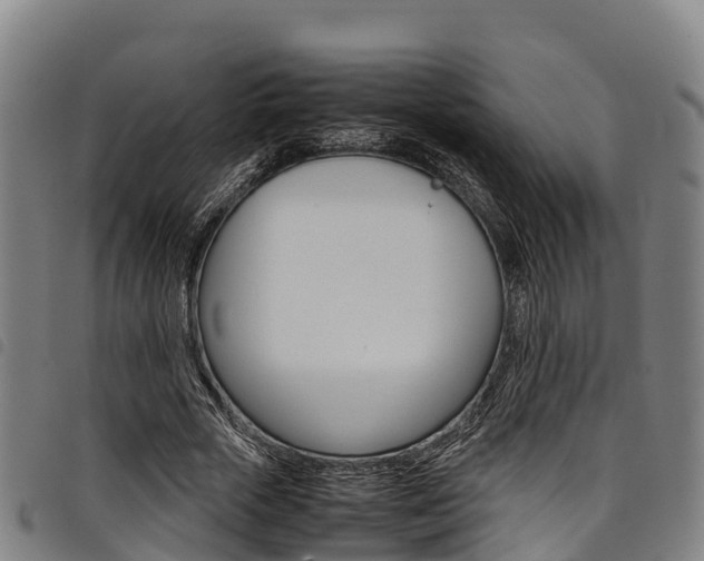 X0000098120729200804040823