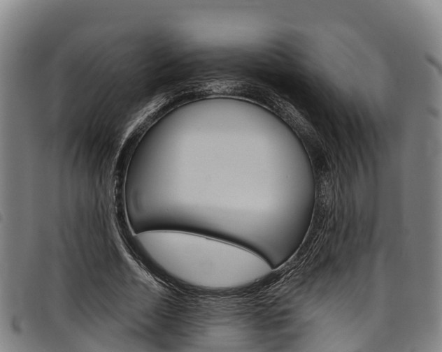 X0000098120730200804040823