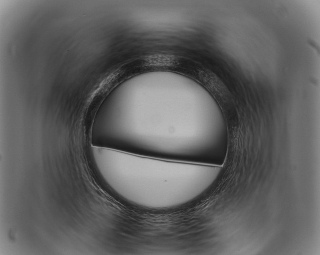 X0000098120731200804040823