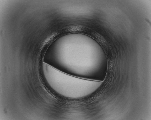 X0000098120732200804040823