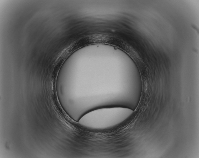 X0000098120733200804040823