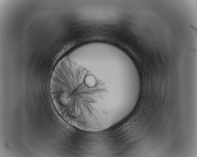 X0000098120734200804040823