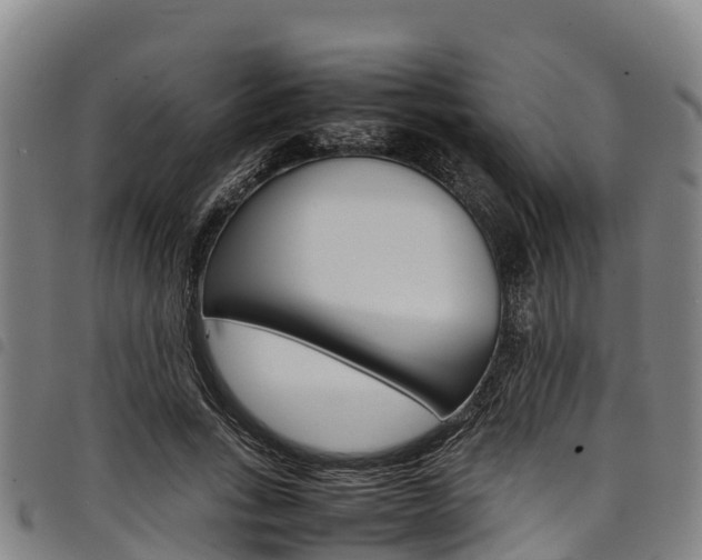 X0000098120735200804040823