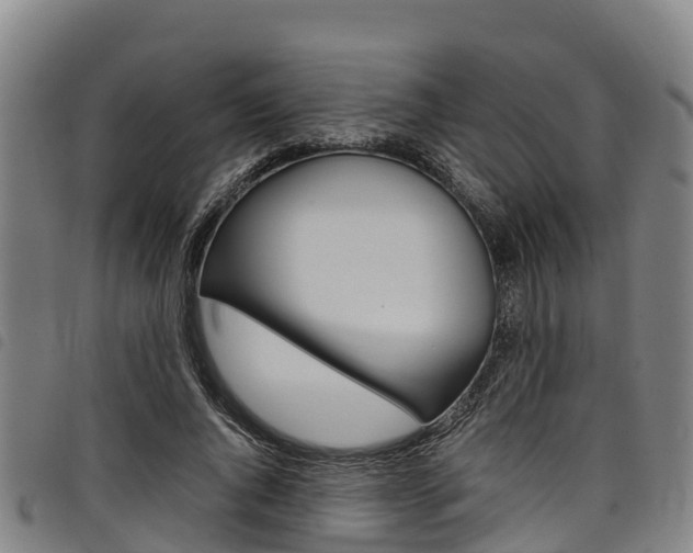 X0000098120736200804040823