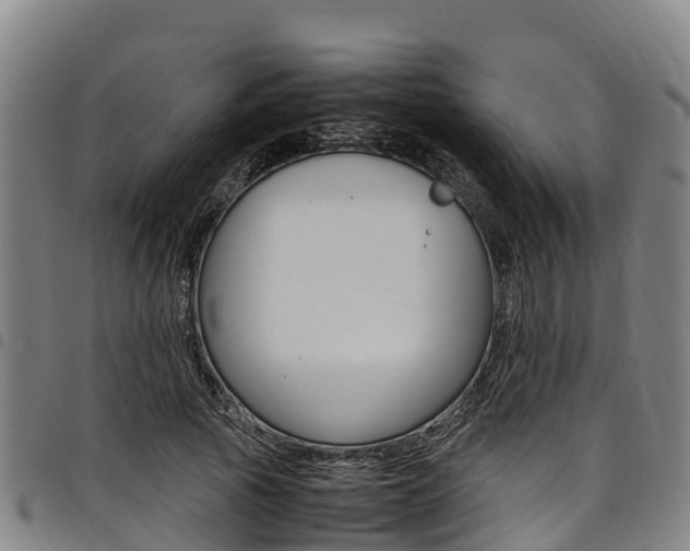 X0000098120737200804040823