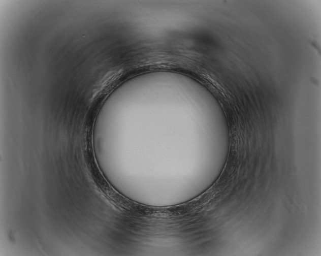 X0000098120738200804040823