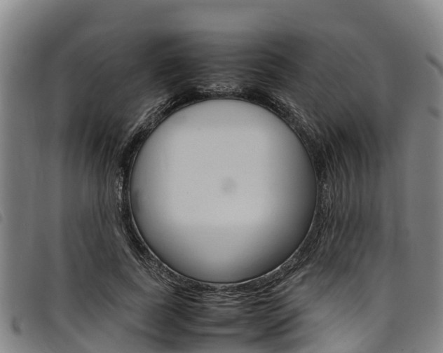 X0000098120739200804040823