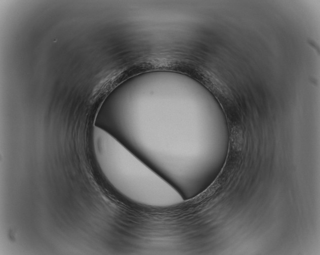 X0000098120740200804040823