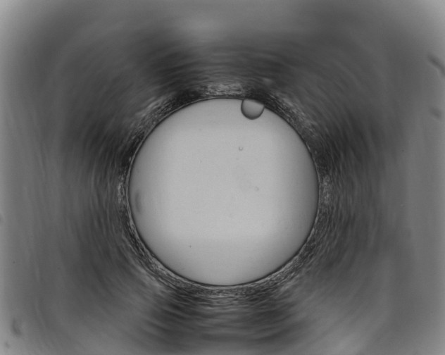 X0000098120741200804040823