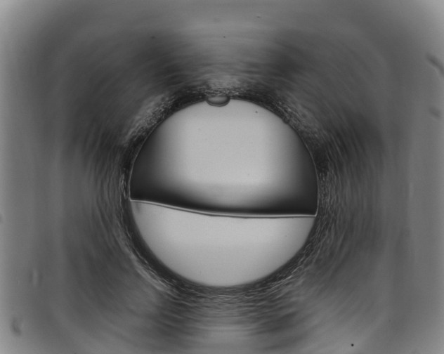 X0000098120742200804040823