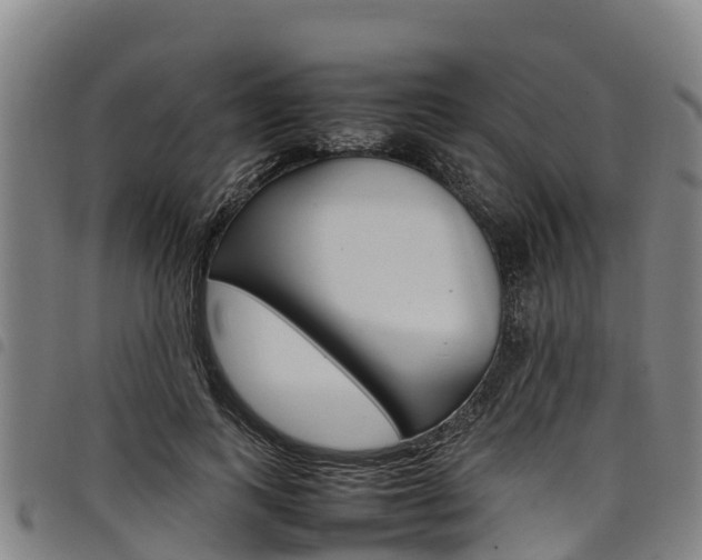 X0000098120743200804040823