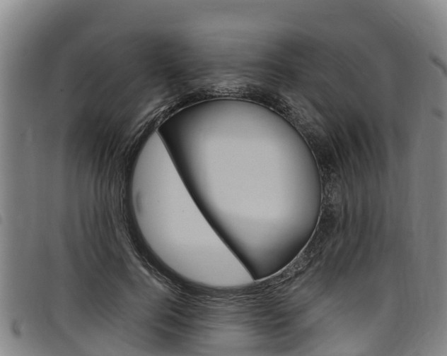 X0000098120744200804040823