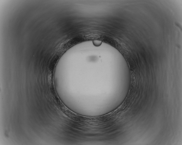 X0000098120745200804040823