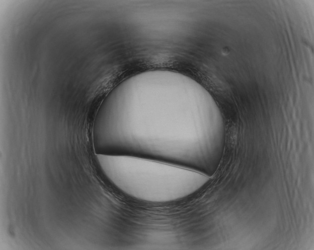 X0000098120746200804040823
