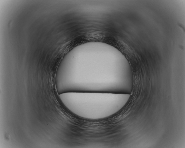 X0000098120749200804040823