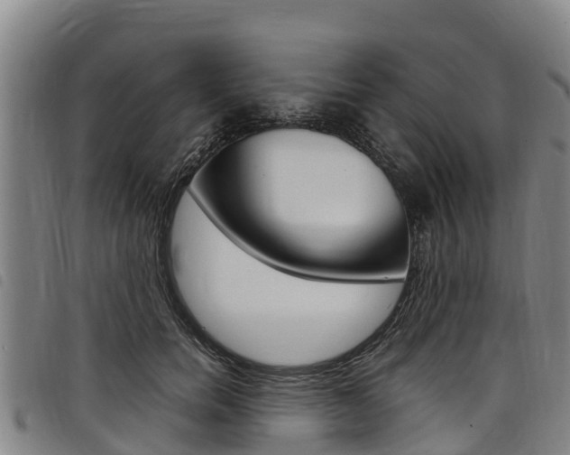 X0000098120750200804040823
