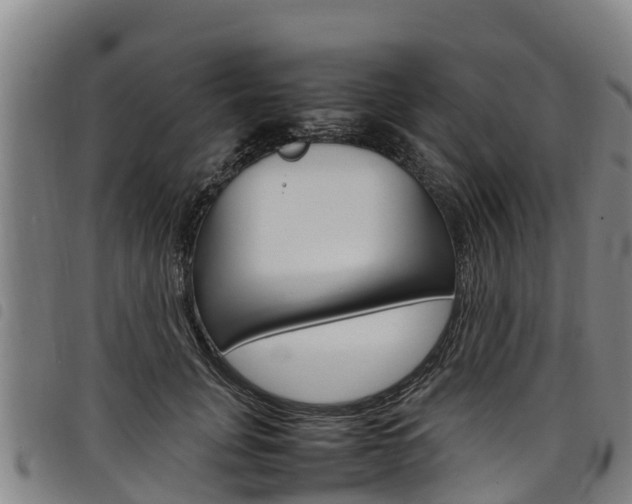 X0000098120751200804040823