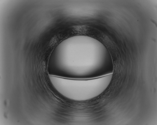 X0000098120752200804040823