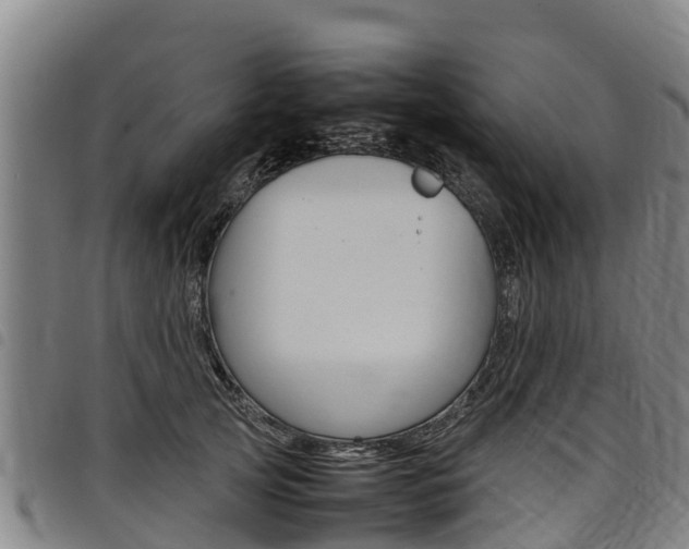 X0000098120753200804040823
