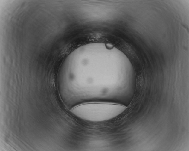 X0000098120754200804040823