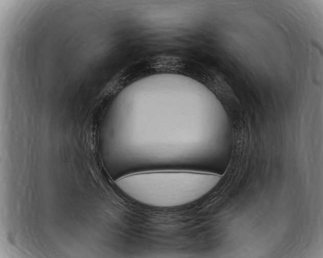 X0000098120755200804040823
