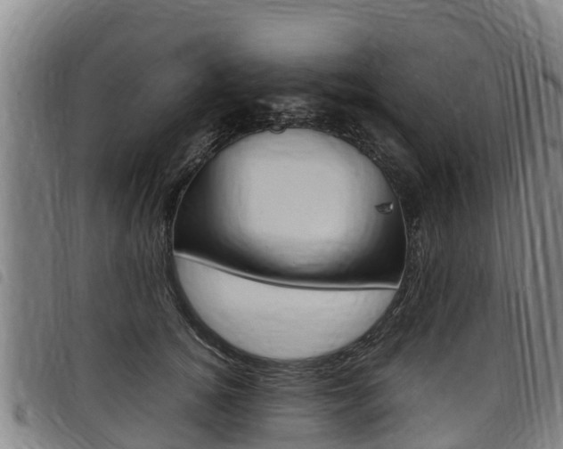 X0000098120756200804040823
