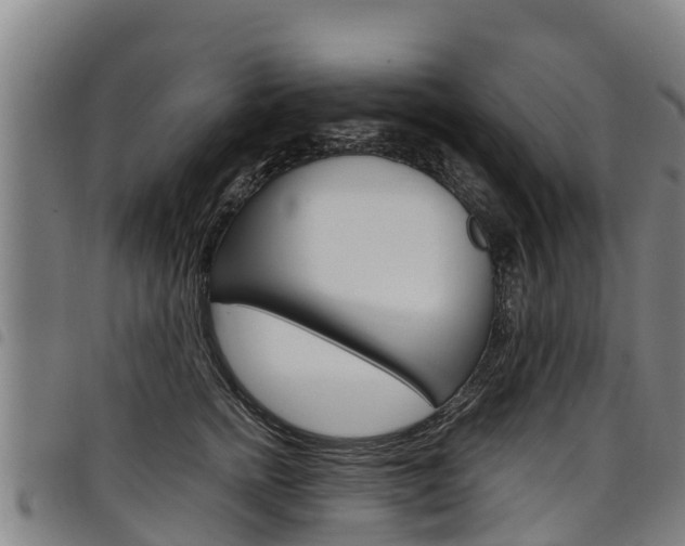 X0000098120758200804040823