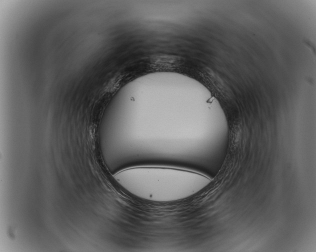 X0000098120759200804040823