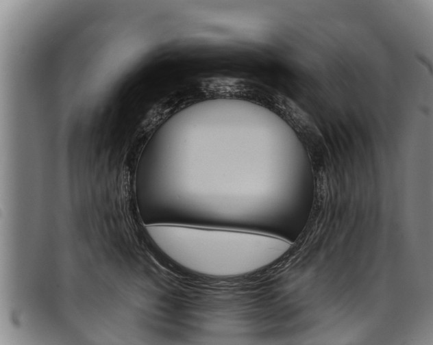 X0000098120760200804040823