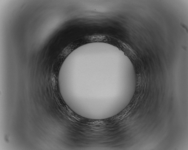 X0000098120761200804040824