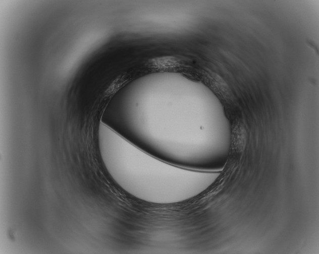 X0000098120762200804040824
