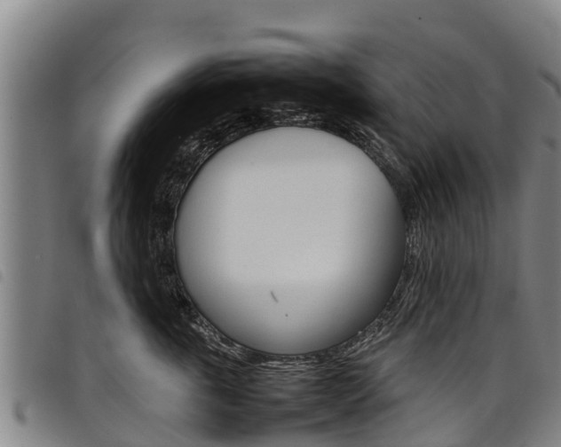 X0000098120763200804040824