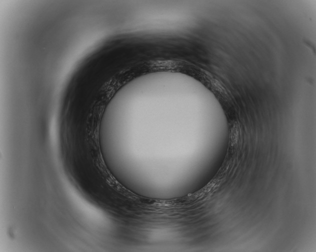 X0000098120764200804040824