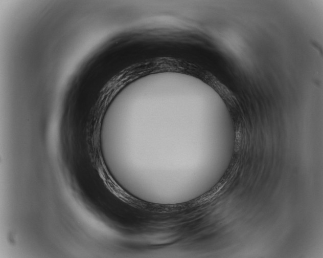 X0000098120765200804040824
