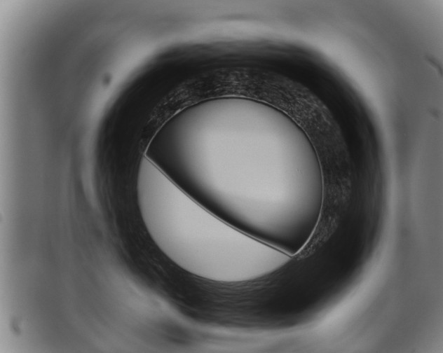 X0000098120766200804040824