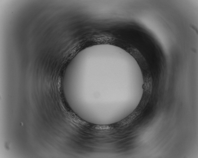 X0000098120767200804040824