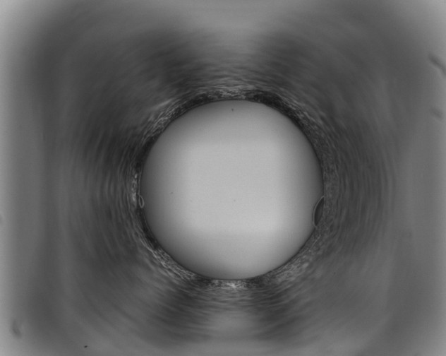 X0000098120768200804040824