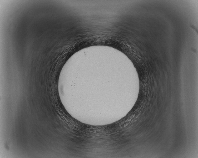 X0000098120769200804040823